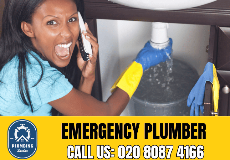 emergency plumber Teddington 