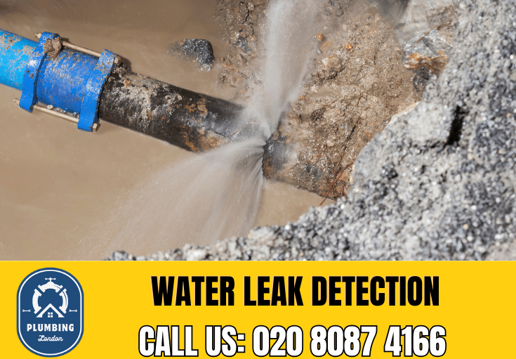 leak detection Teddington 