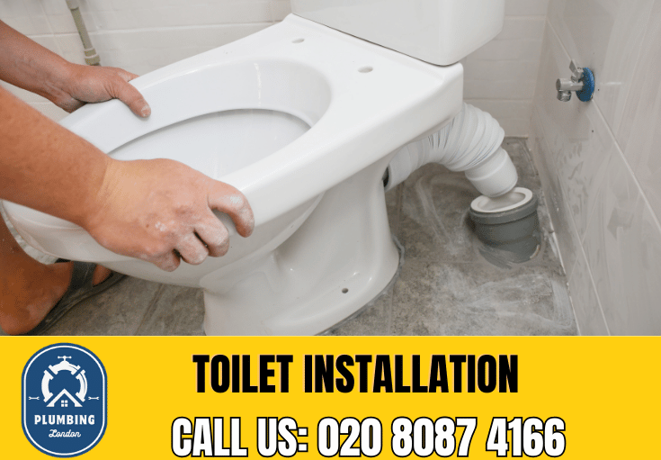 toilet fitters Teddington 